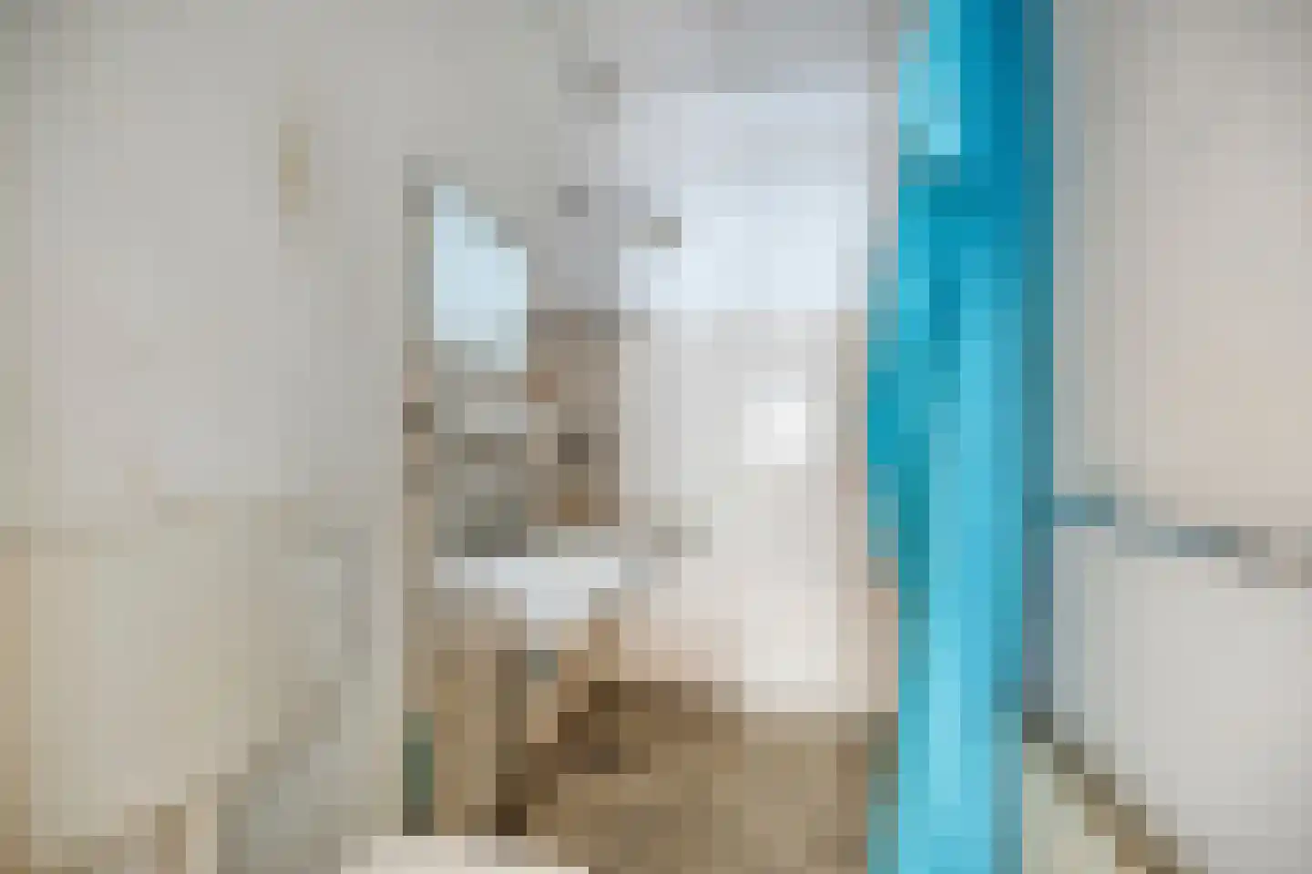 Torenes 20 Borger thumbnail 17