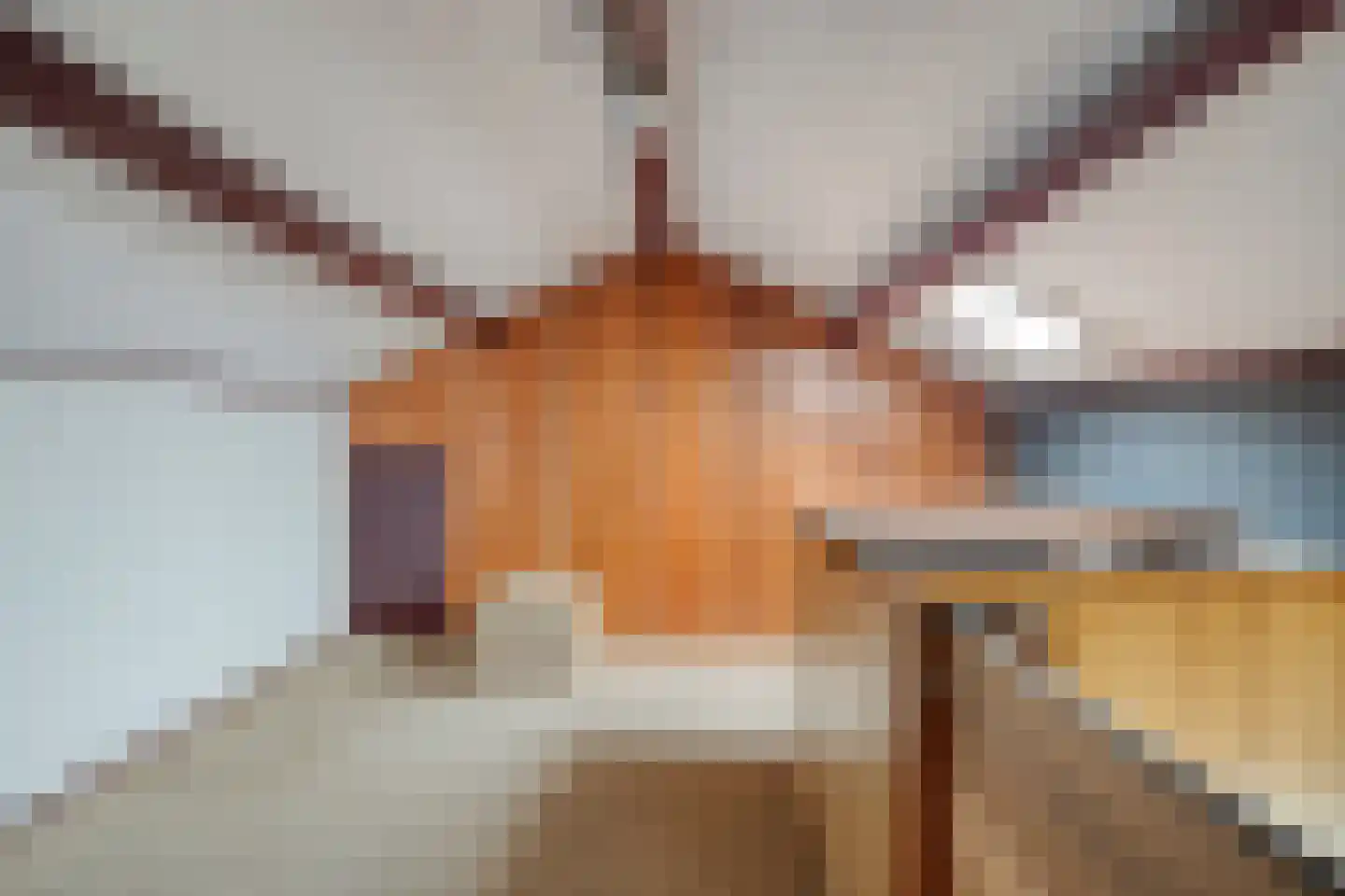 Torenes 20 Borger thumbnail 19
