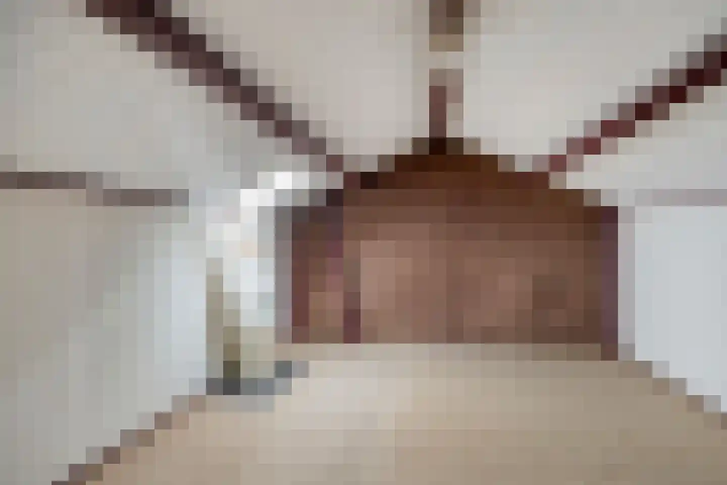 Torenes 20 Borger thumbnail 20