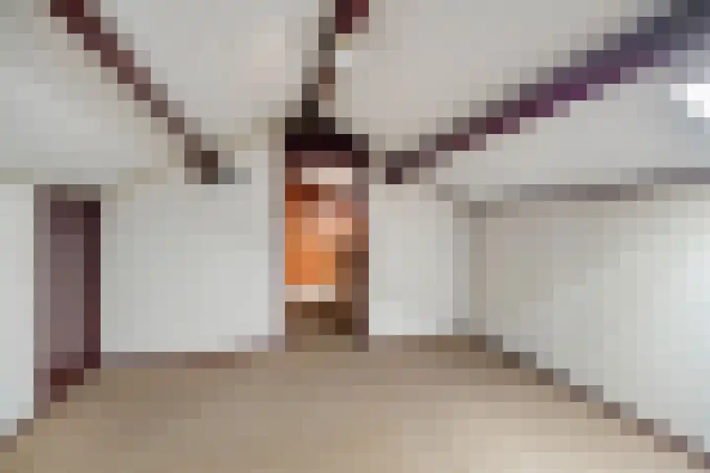Torenes 20 Borger thumbnail 21