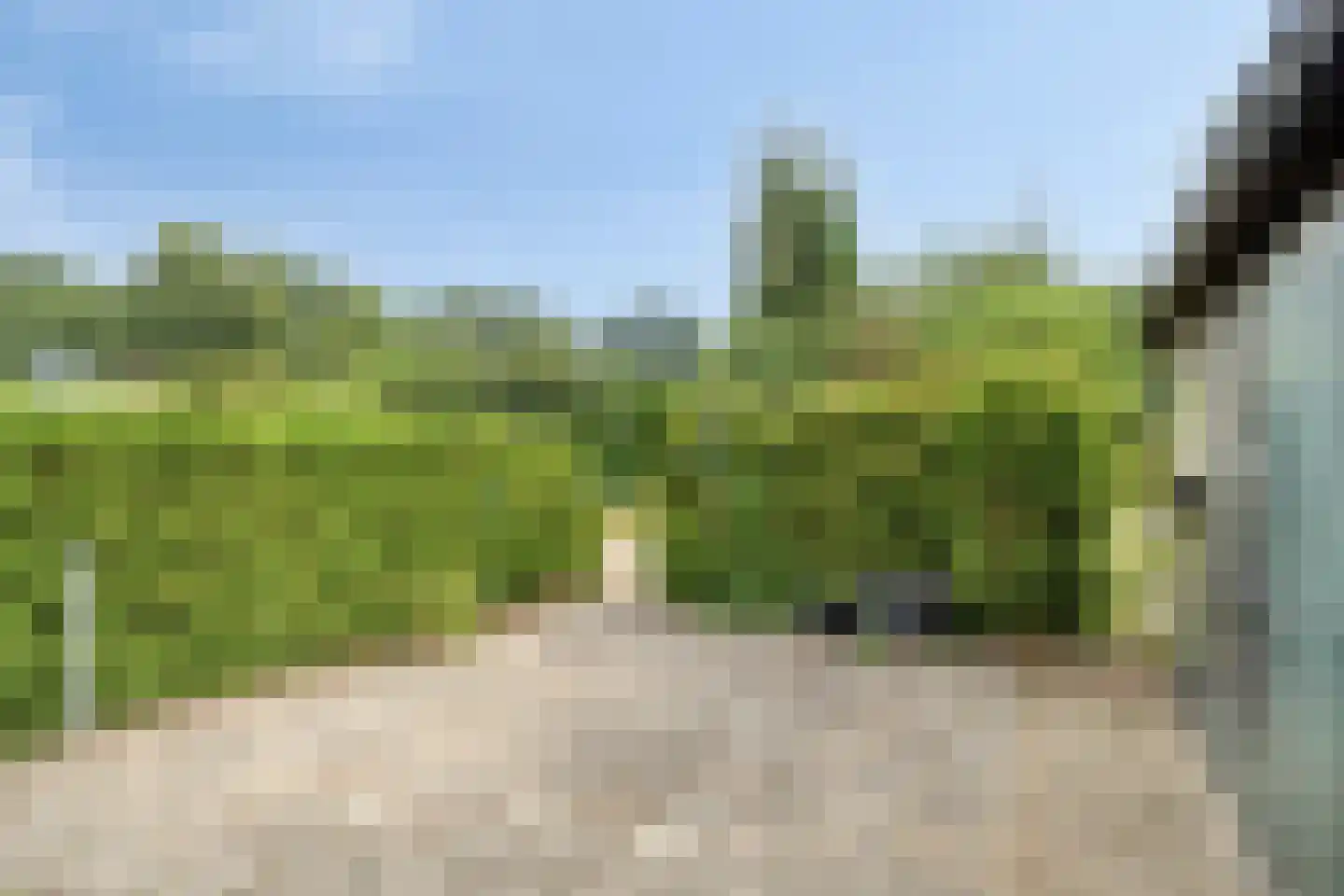Torenes 20 Borger thumbnail 25