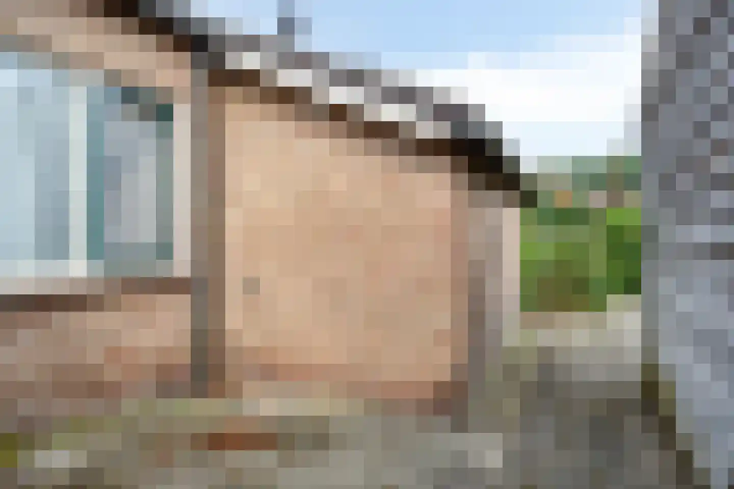 Torenes 20 Borger thumbnail 27
