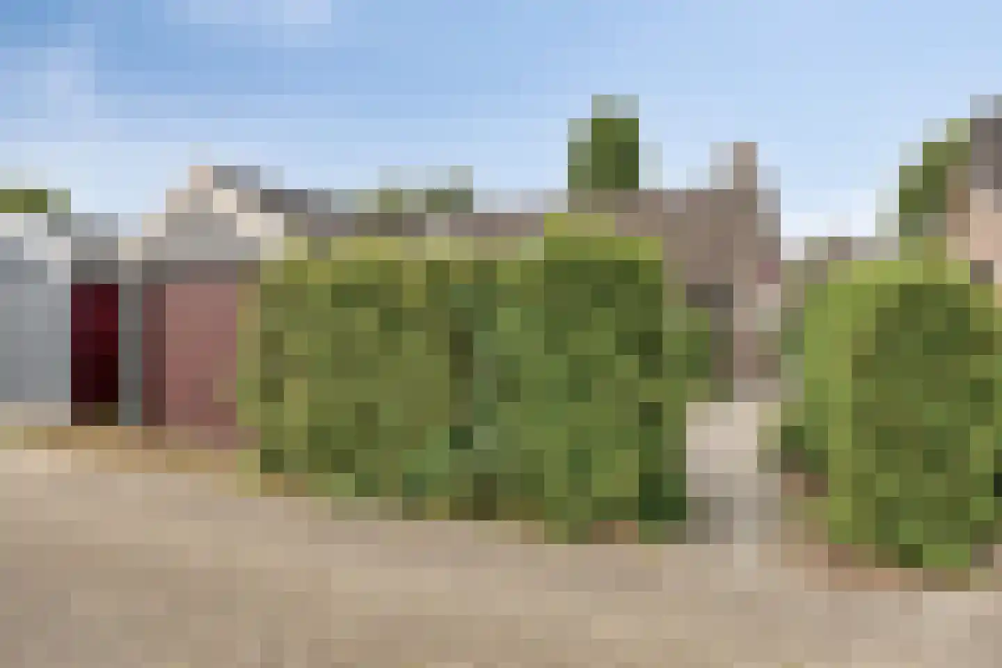 Torenes 20 Borger thumbnail 29