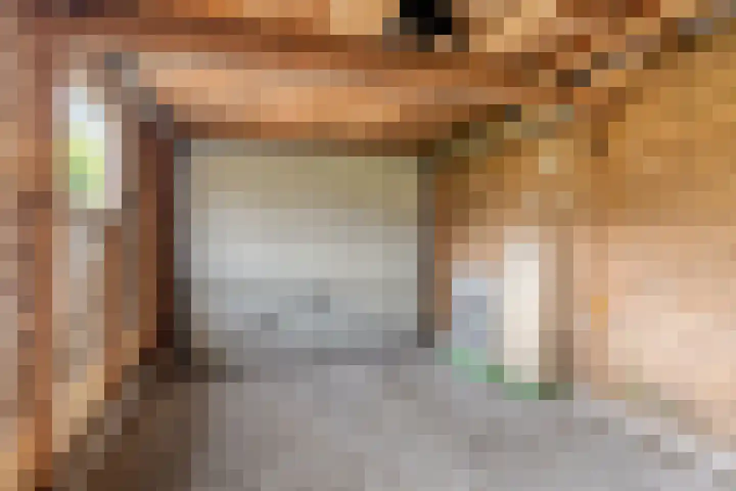 Torenes 20 Borger thumbnail 30
