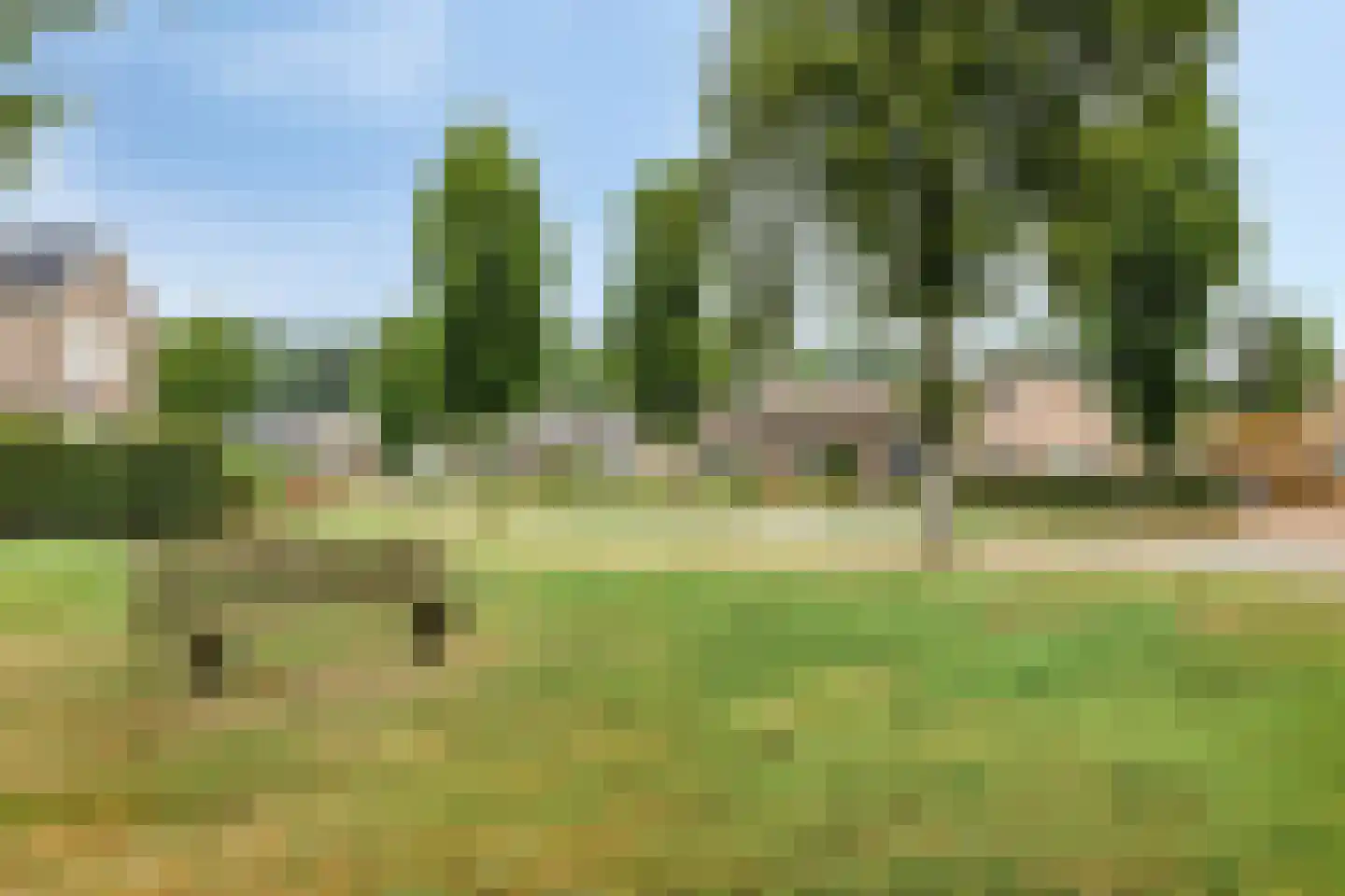 Torenes 20 Borger thumbnail 32
