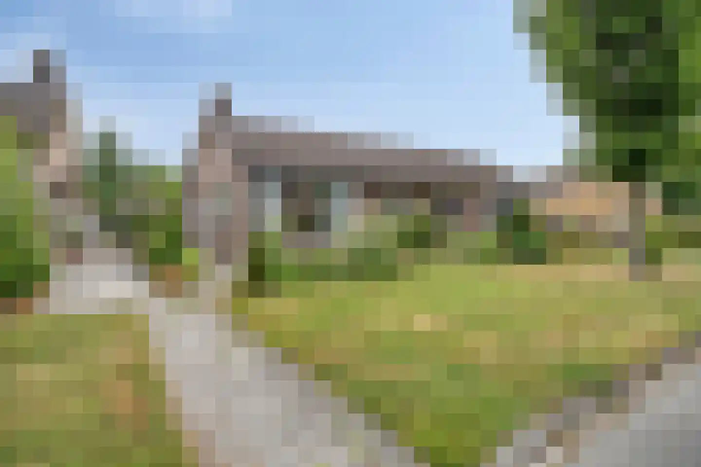 Torenes 20 Borger thumbnail 4