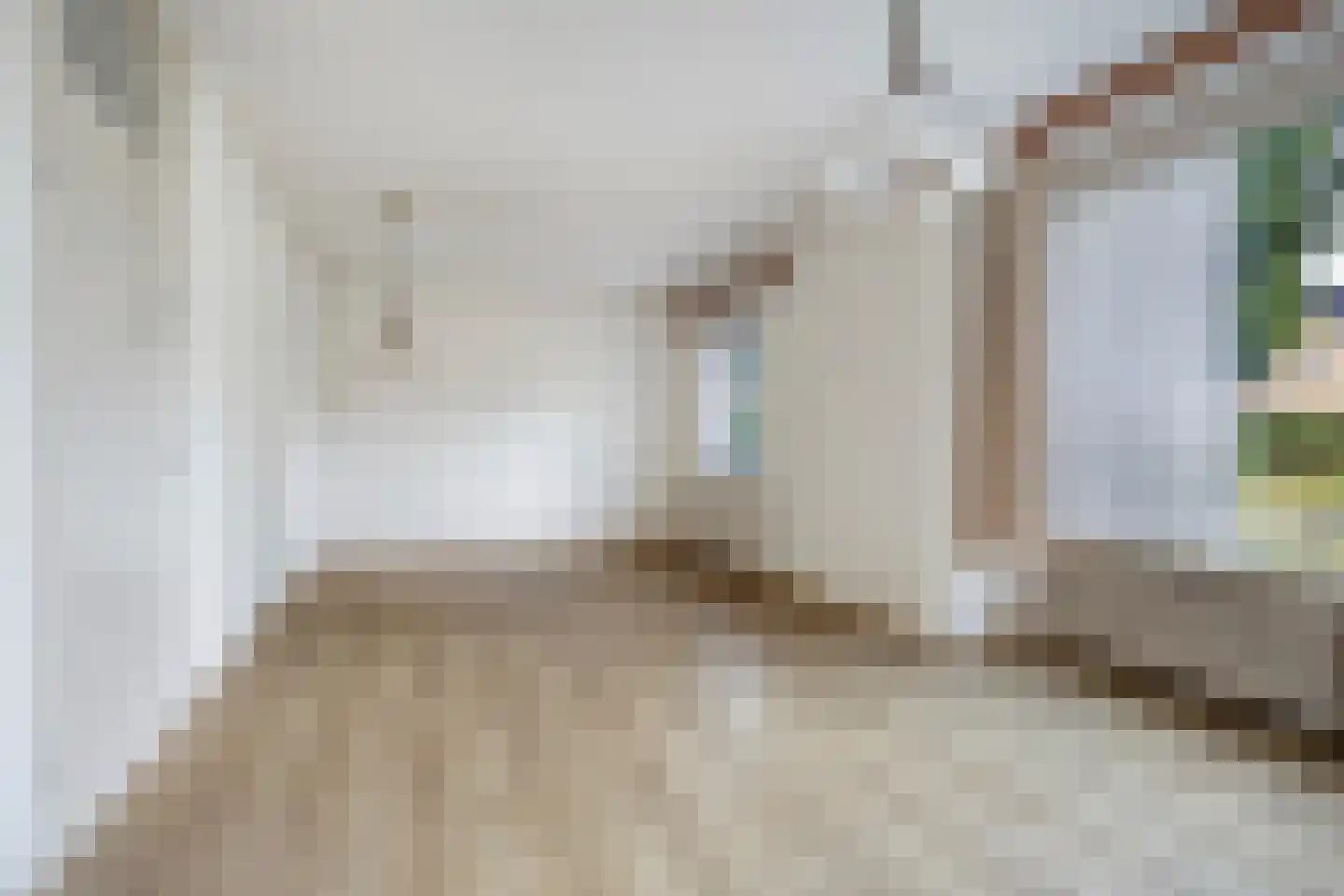 Torenes 20 Borger thumbnail 8