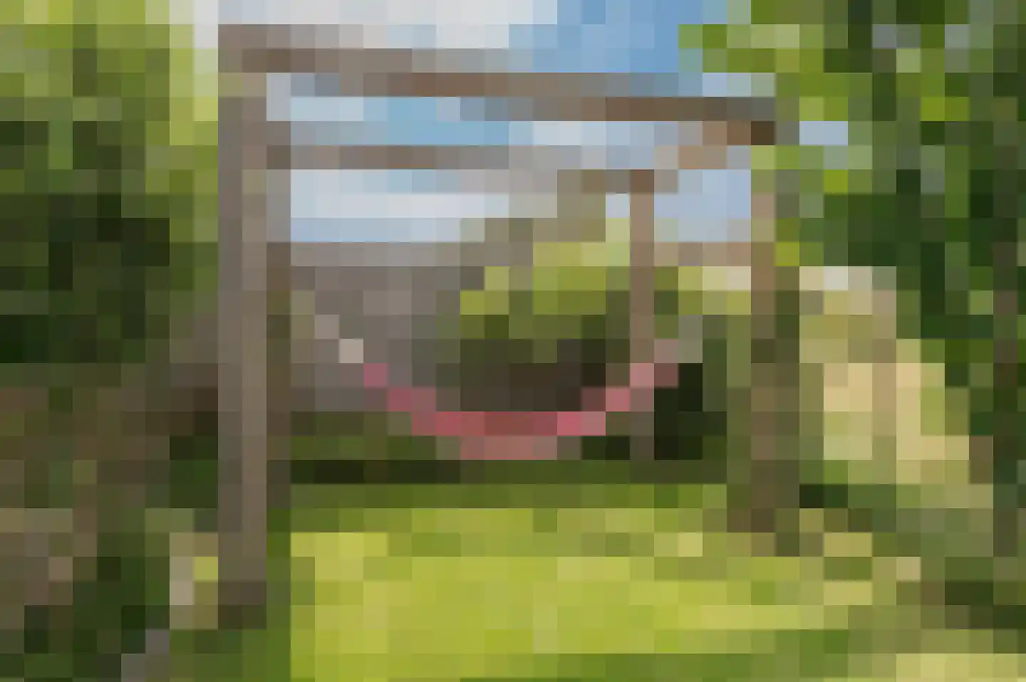 Torenfort 7 Culemborg thumbnail 27