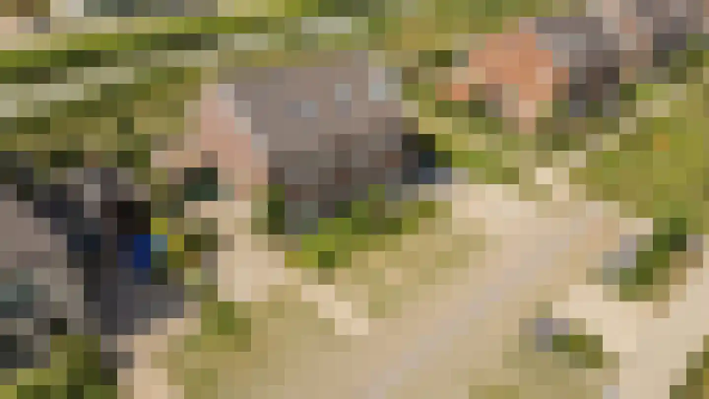 Torenfort 7 Culemborg thumbnail 63