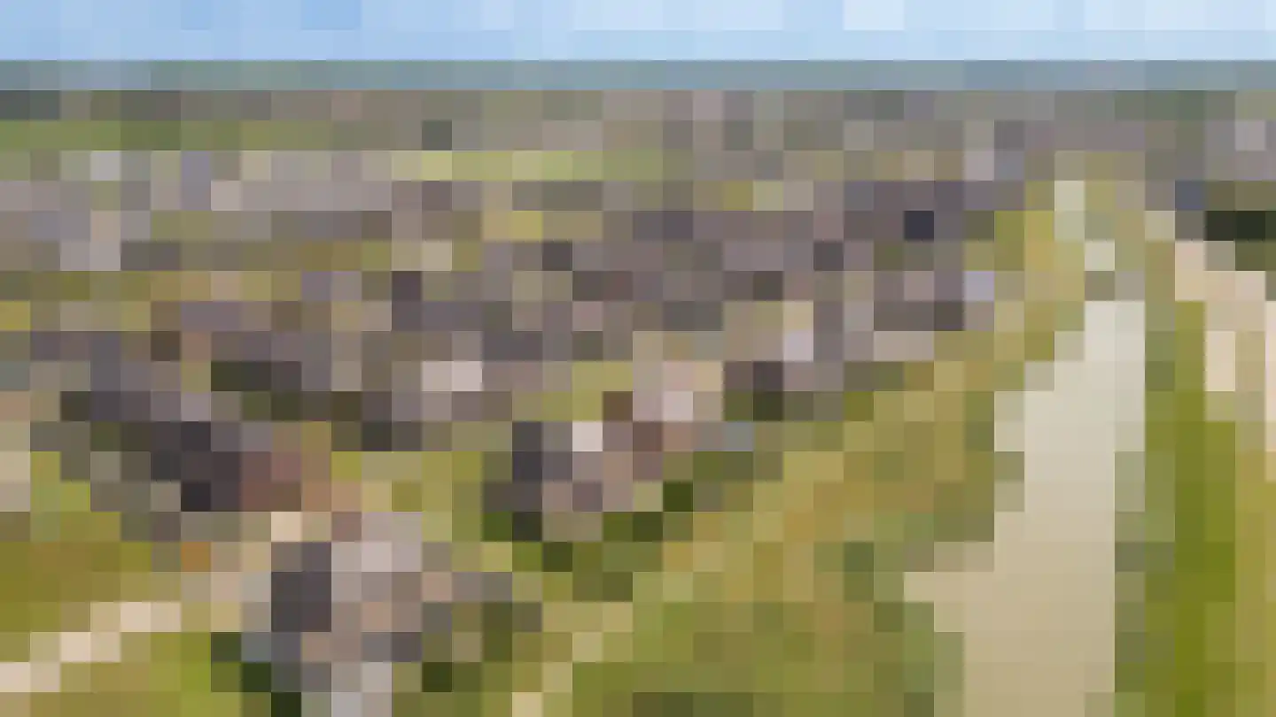 Torenfort 7 Culemborg thumbnail 68