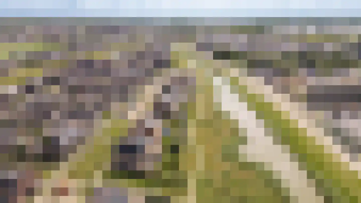 Torenfort 7 Culemborg thumbnail 69
