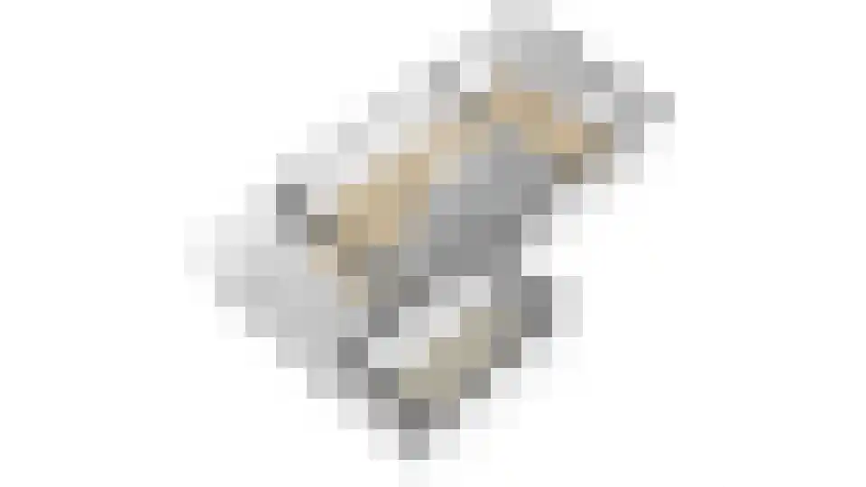 Torenfort 7 Culemborg thumbnail 73