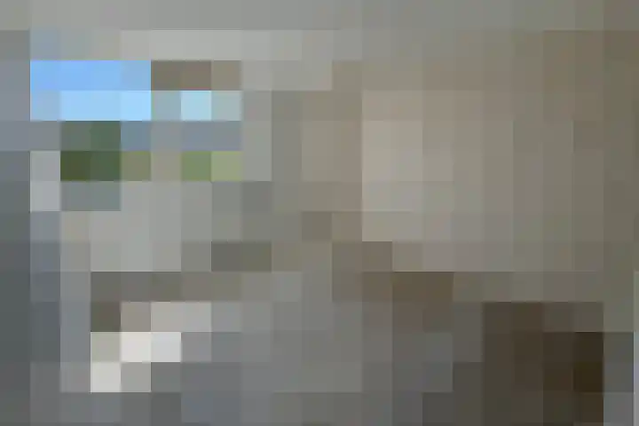 Torenkamp 13 Wapenveld thumbnail 11