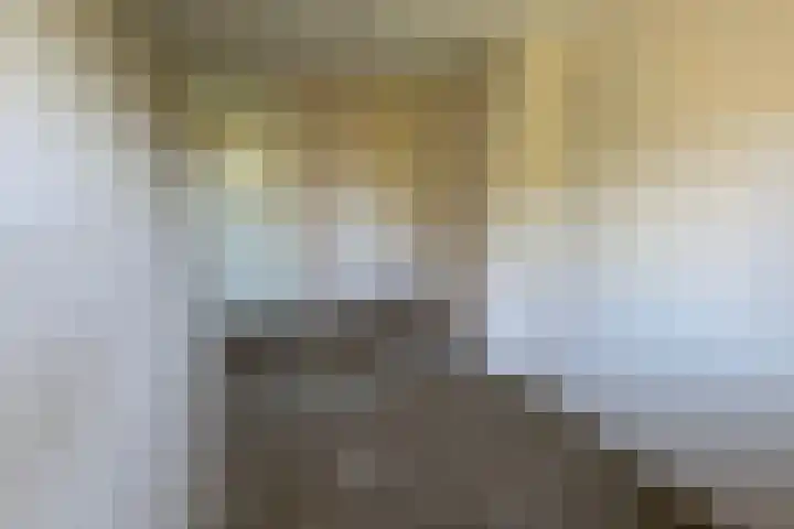 Torenkamp 13 Wapenveld thumbnail 14