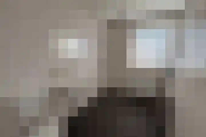 Torenkamp 13 Wapenveld thumbnail 15