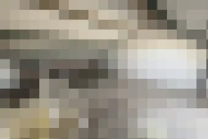 Torenkamp 13 Wapenveld thumbnail 17