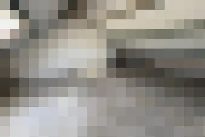 Torenkamp 13 Wapenveld thumbnail 18