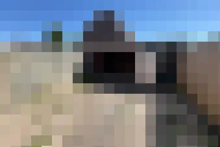 Torenkamp 13 Wapenveld thumbnail 19