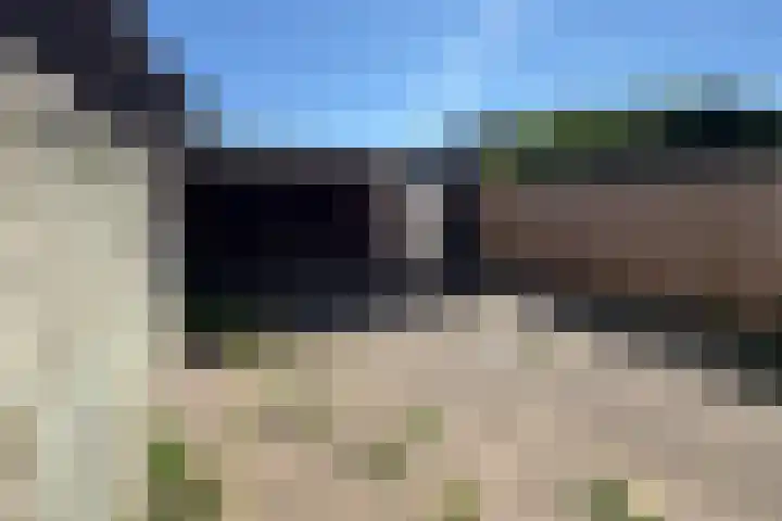 Torenkamp 13 Wapenveld thumbnail 20