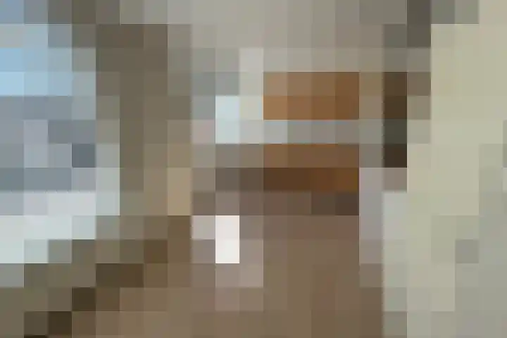 Torenkamp 13 Wapenveld thumbnail 5