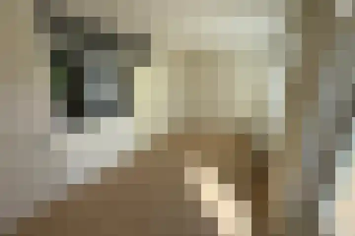 Torenkamp 13 Wapenveld thumbnail 7
