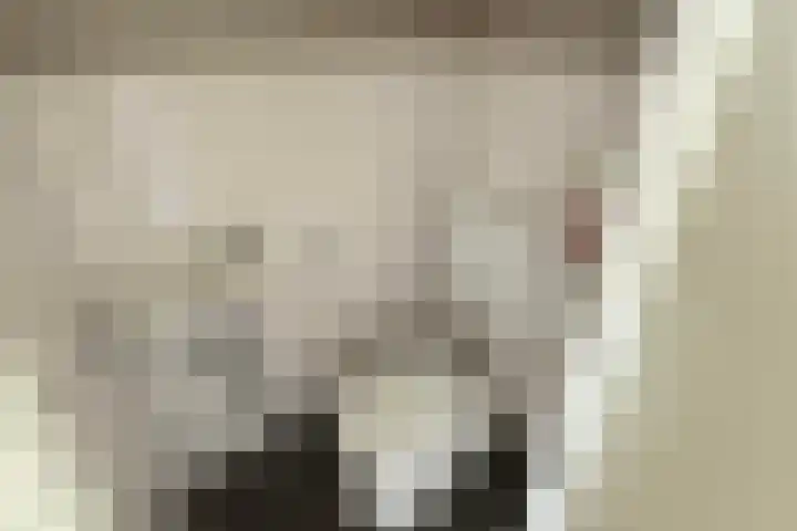 Torenkamp 13 Wapenveld thumbnail 8