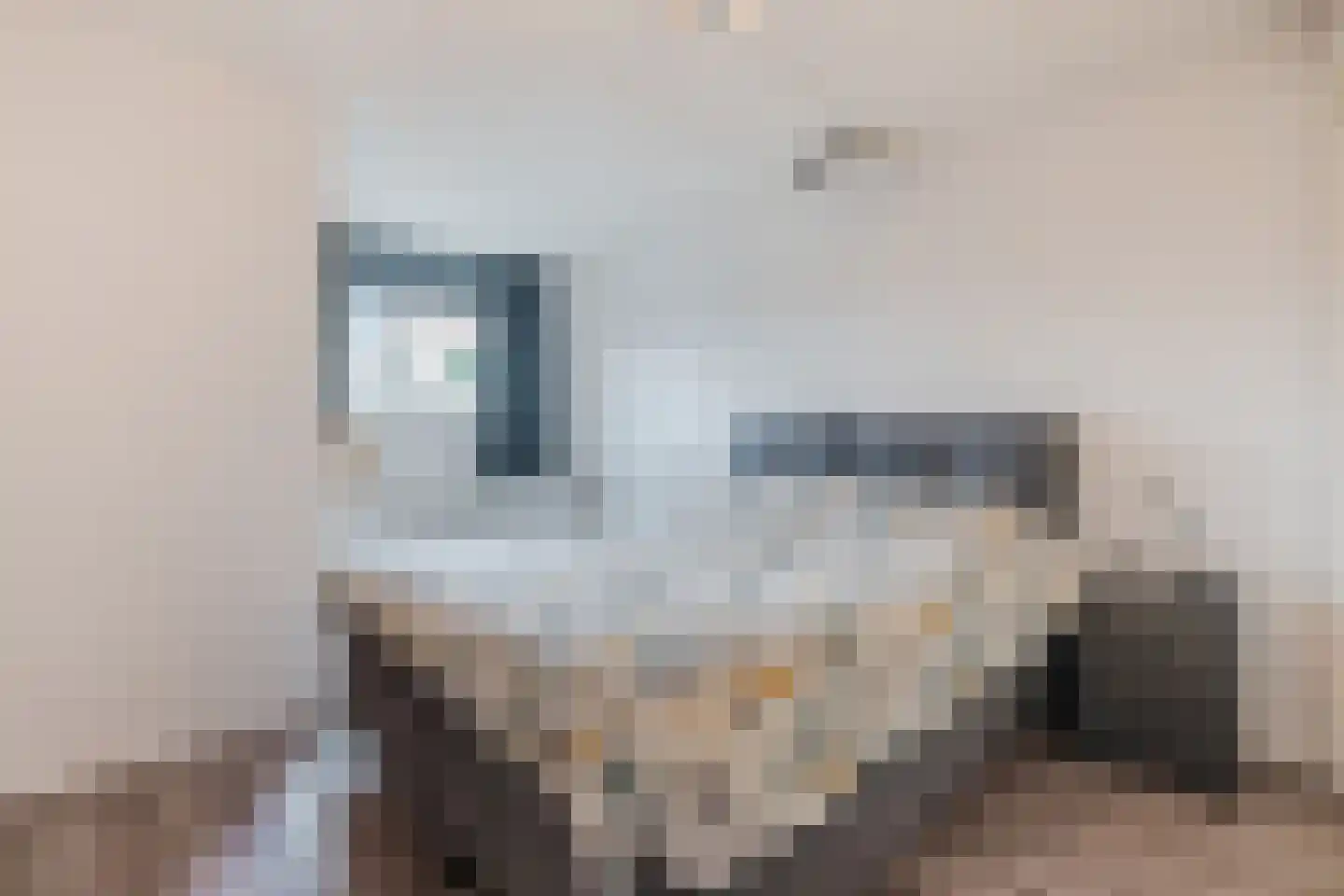 Torenkamp 35 Wapenveld thumbnail 18