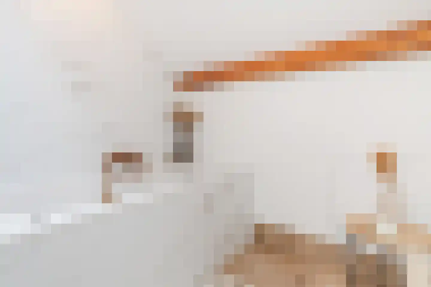 Torenkamp 35 Wapenveld thumbnail 36