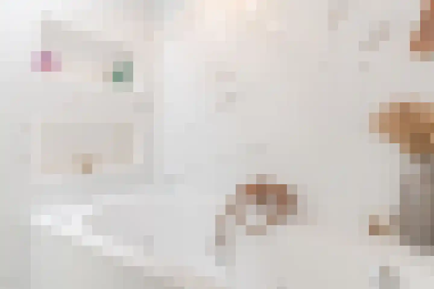 Torenkamp 35 Wapenveld thumbnail 37