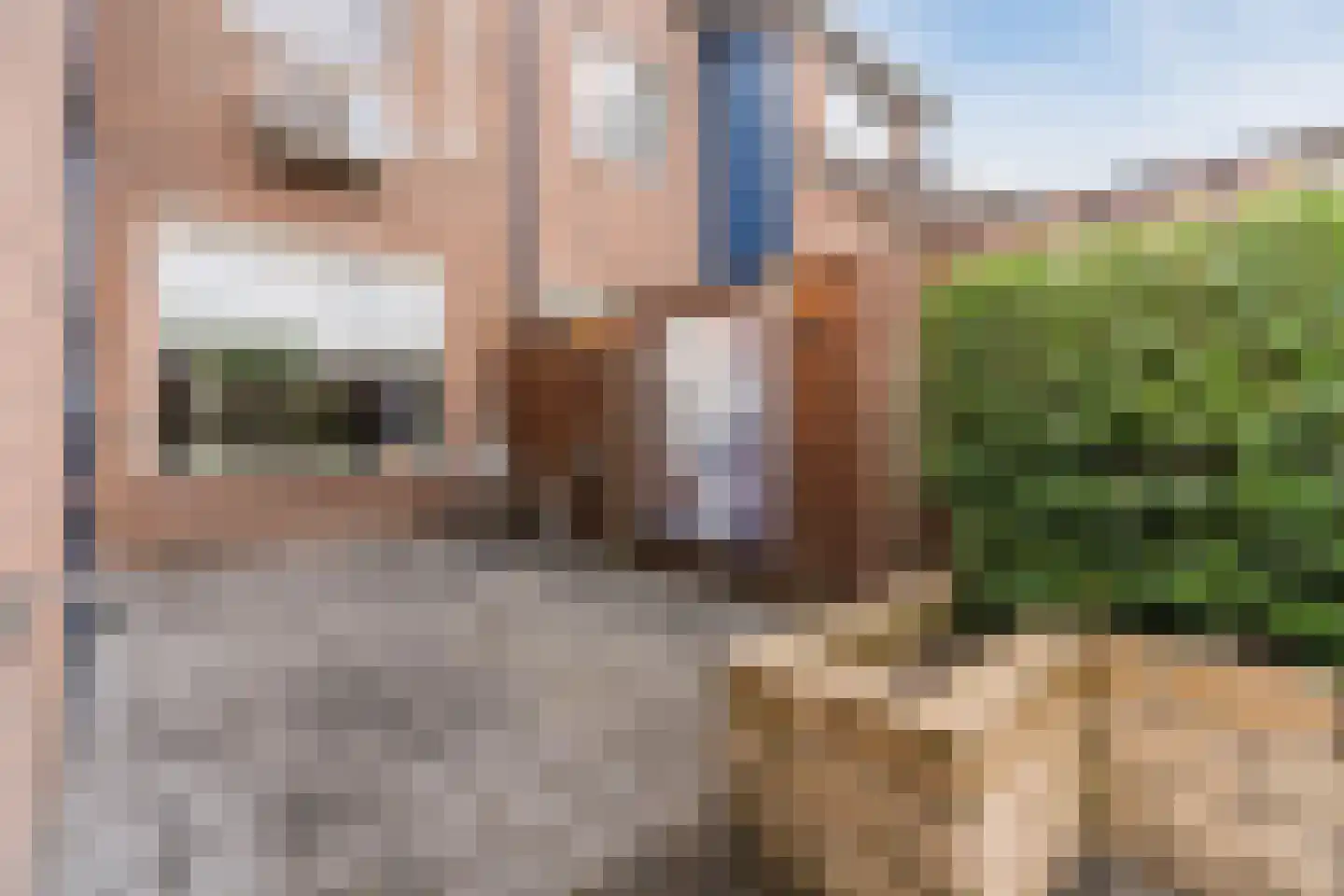 Torenkamp 35 Wapenveld thumbnail 39
