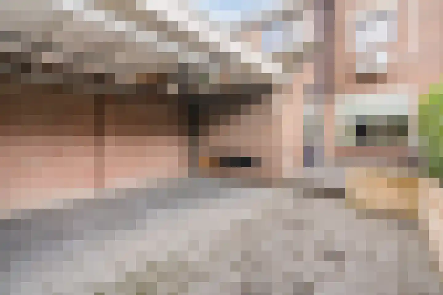 Torenkamp 35 Wapenveld thumbnail 41
