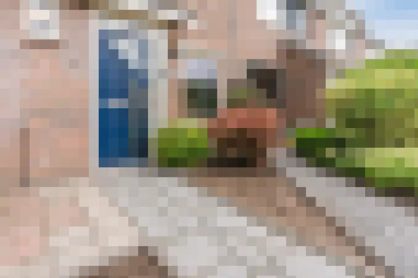 Torenkamp 35 Wapenveld thumbnail 42