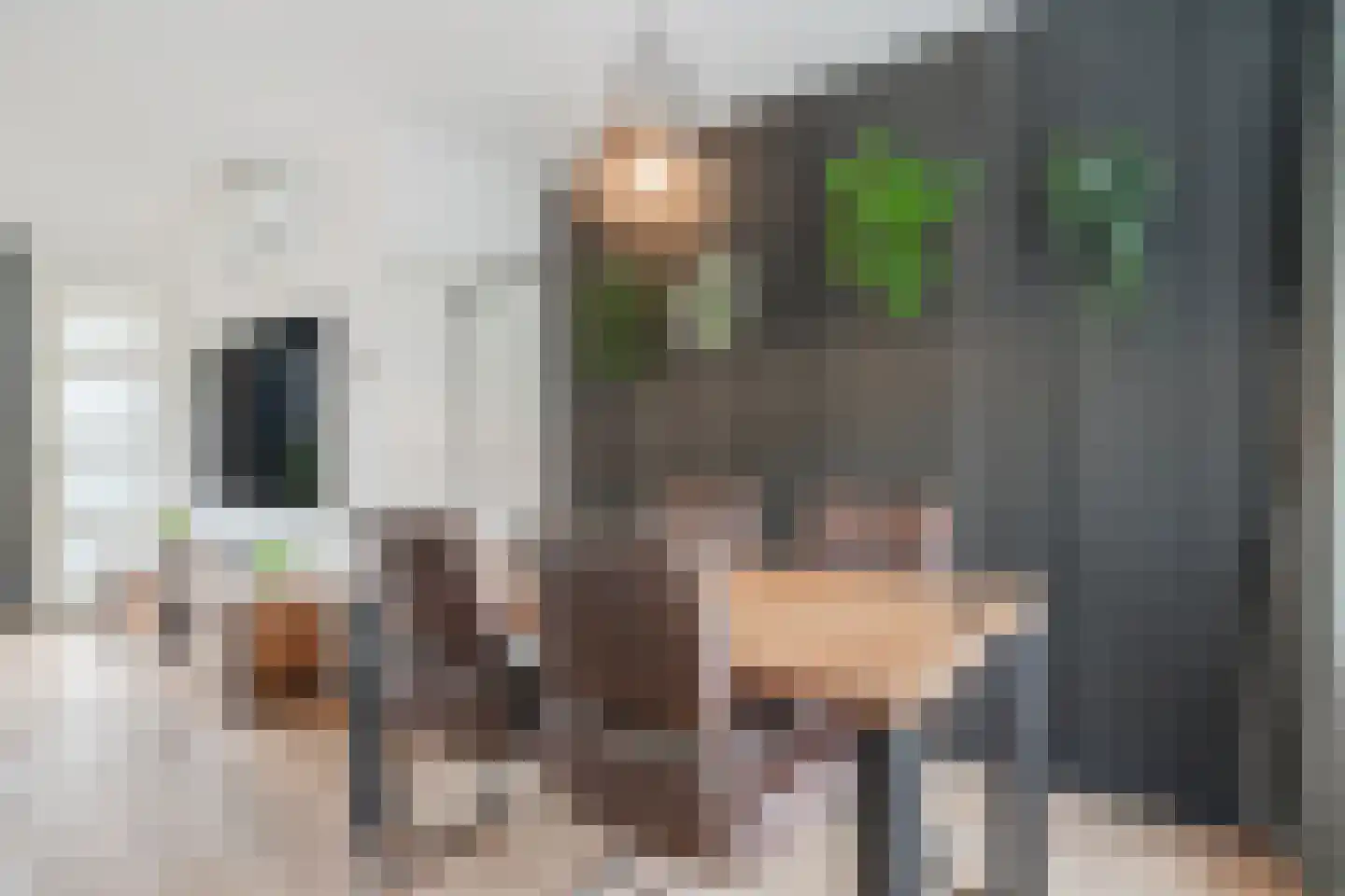 Torenkamp 35 Wapenveld thumbnail 8