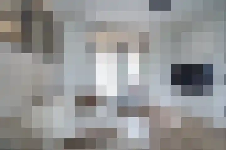 Torenkwartier 5 Oosterhout thumbnail 16