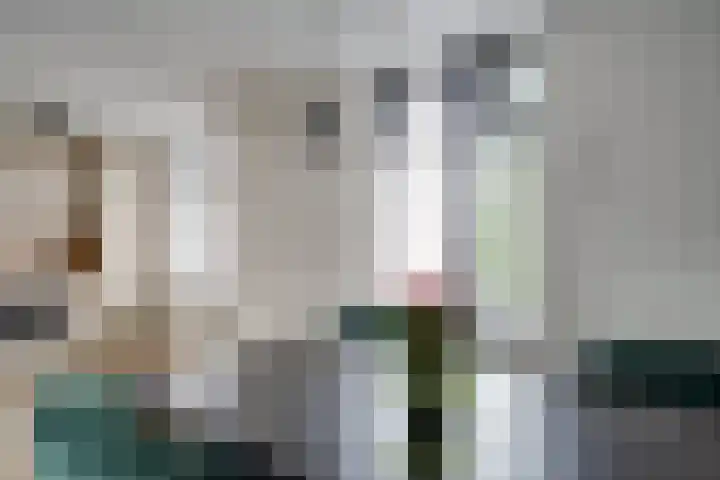 Torenkwartier 5 Oosterhout thumbnail 24