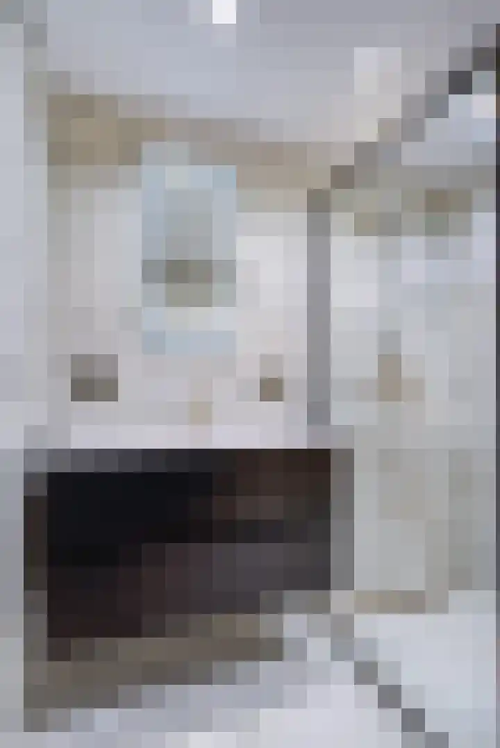 Torenkwartier 5 Oosterhout thumbnail 35