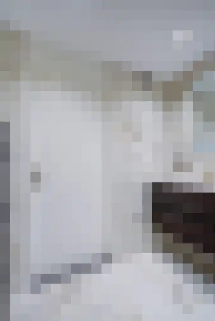 Torenkwartier 5 Oosterhout thumbnail 37