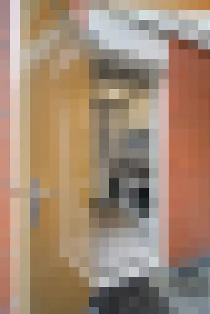 Torenkwartier 5 Oosterhout thumbnail 40