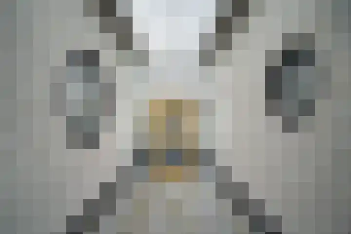 Torenkwartier 5 Oosterhout thumbnail 7