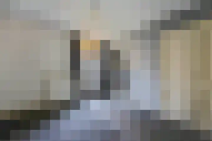 Torenlaan 1 b Laren thumbnail 18