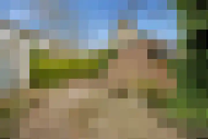 Torenlaan 1 b Laren thumbnail 23