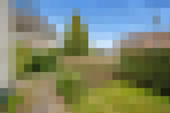 Torenlaan 1 b Laren thumbnail 25