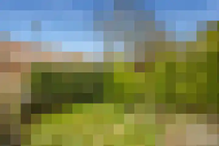 Torenlaan 1 b Laren thumbnail 26