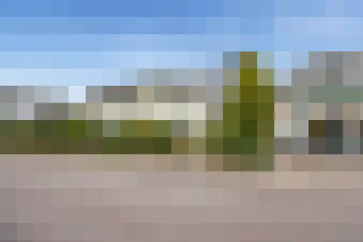 Torenlaan 1 b Laren thumbnail 27
