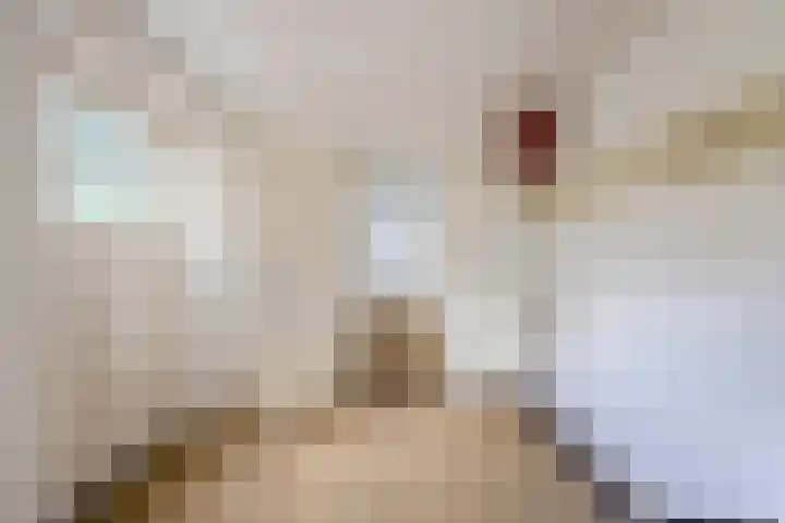 Torenlaan 1 b Laren thumbnail 7