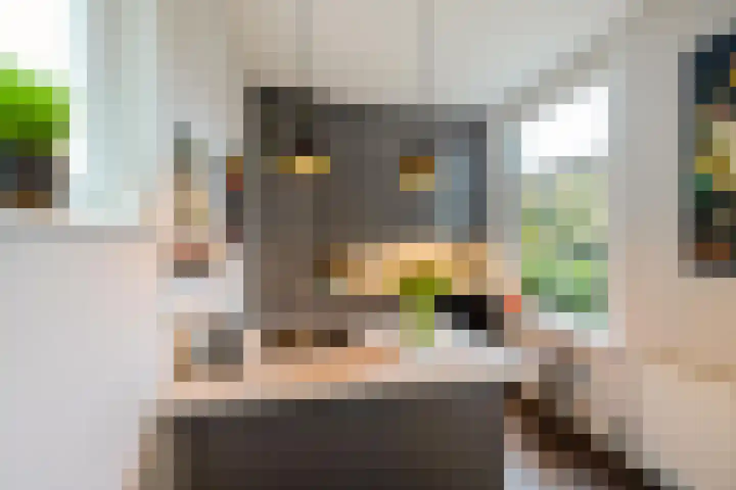 Torenlaan 10 Assen thumbnail 18