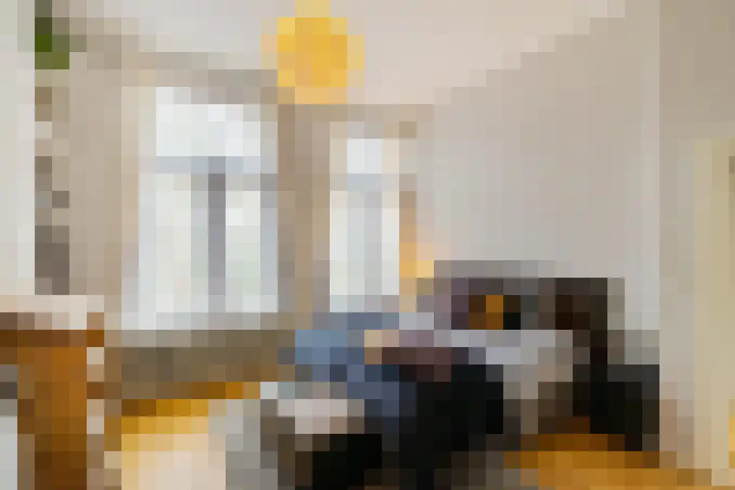 Torenlaan 10 Assen thumbnail 24