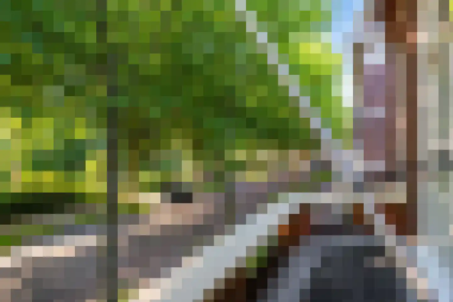 Torenlaan 10 Assen thumbnail 26
