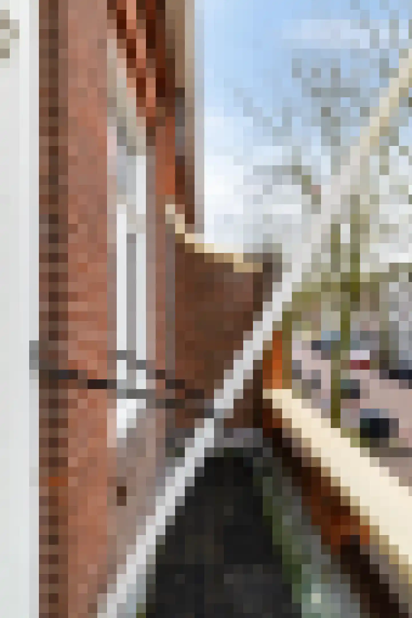 Torenlaan 10 Assen thumbnail 27