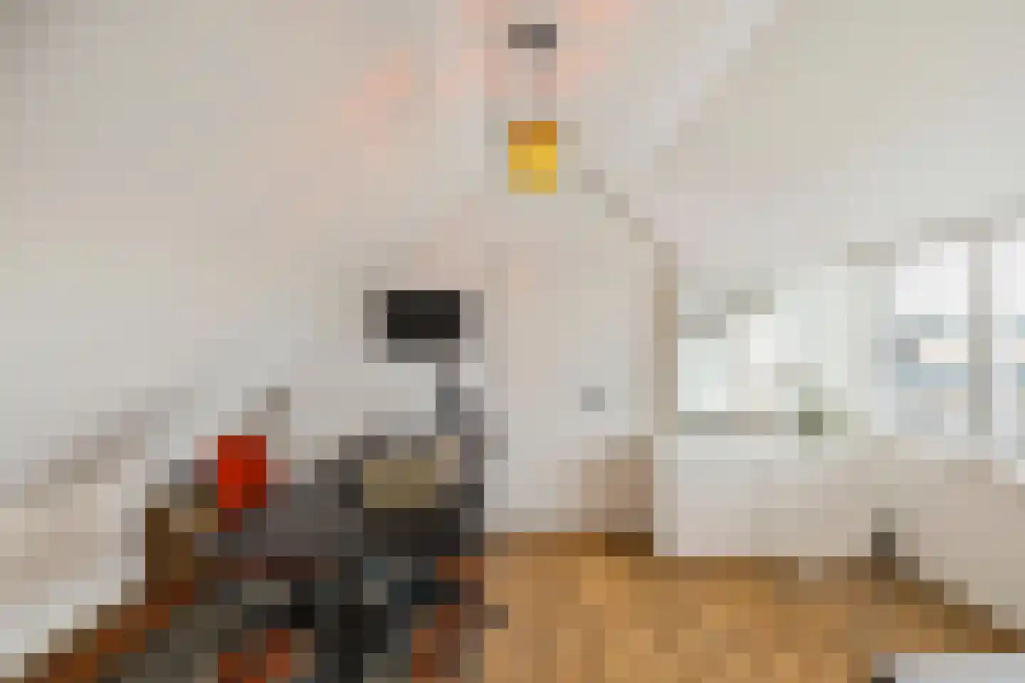 Torenlaan 10 Assen thumbnail 34